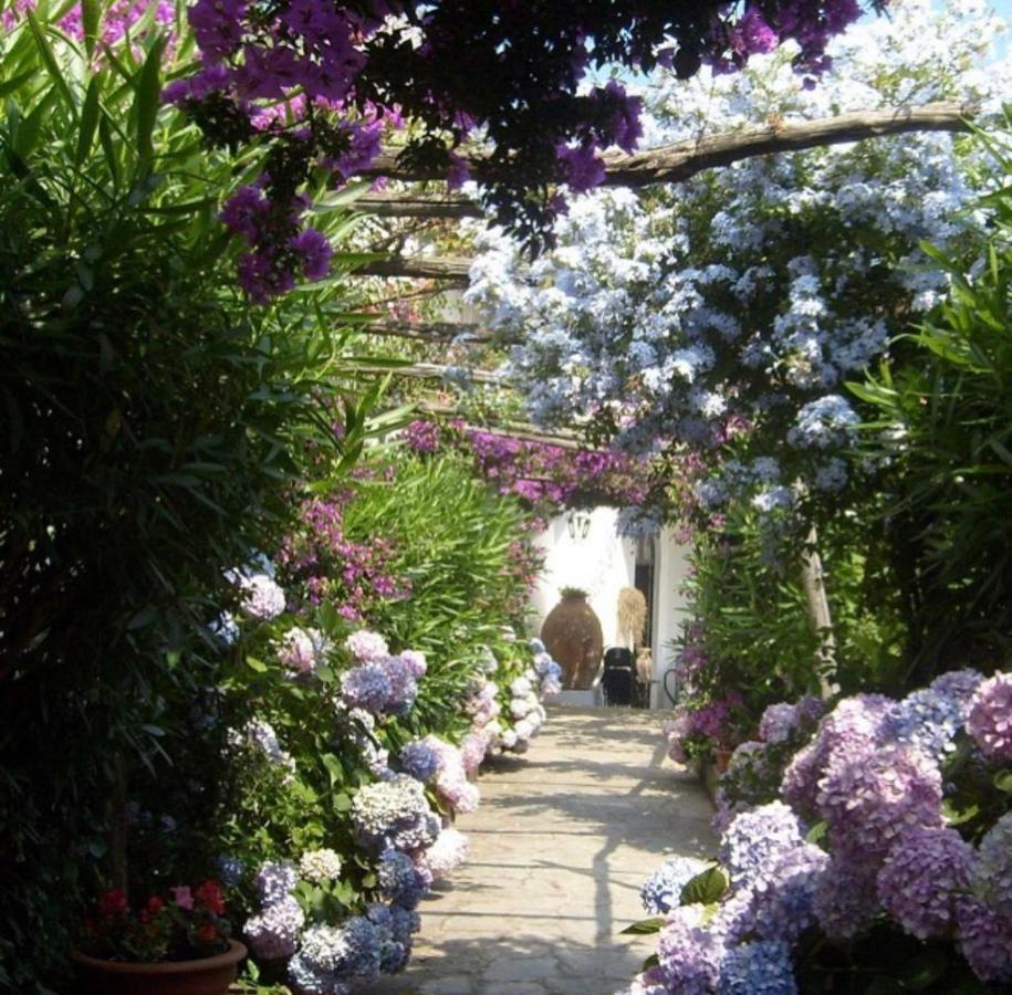 Marunnella Suites Capri Exterior foto